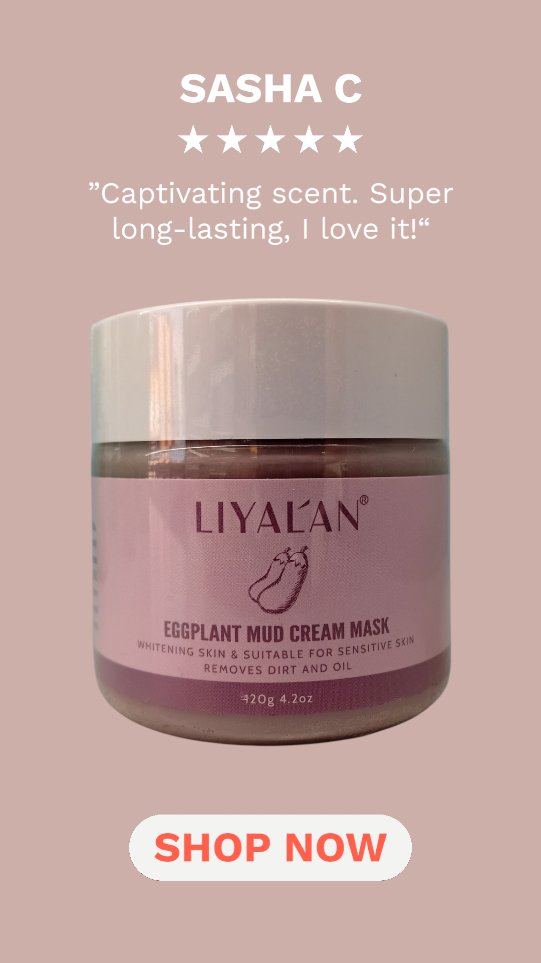 Eggplant Mud Cream Mask